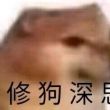 百度用户UID5663525326 asdf112346 NoSmoking 的头像