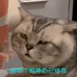 百度用户UID6410536792 314nik 贴吧用户_GCQWQ8E 的头像