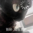 百度用户UID5595548127 火星上的首富ET 形而上学代表大师 的头像