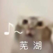 百度用户UID3544313910 煤斗车火男 卡吞 的头像