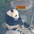 百度用户UID3515157911 null 贴吧用户_5AEt5Ue 的头像