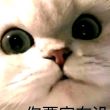 百度用户UID3243235918 null 林子牧 的头像