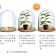 百度用户UID1163599069 1633721A null 的头像