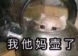 百度用户UID1414041118 机电神男 纸短情不长💦 的头像