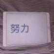 百度用户UID5759453818 null 贴吧用户_G1XXWb8 的头像