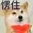 百度用户UID17596417638498 龙向珊沛山 null 的头像