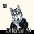 百度用户UID4517539217 你贴我go null 的头像