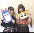 百度用户UID117423002 暗机 null 的头像