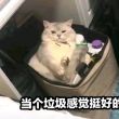 百度用户UID6404328563 蓝橙子诶 差不多得了╮ 的头像