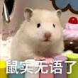 百度用户UID4490726260 太好笑乐 null 的头像