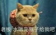 百度用户UID697712866 Teb灬 null 的头像