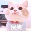 百度用户UID159026411 超级帅哥yiay 飞鱼强人🐷 的头像
