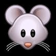 百度用户UID2972738674 伊卡洛斯dhh 🐱😺🐱 的头像