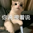 百度用户UID699628556 past已逝 平泽仄 的头像