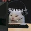 百度用户UID1501531670 科科的时 高衫-隆鎷 的头像