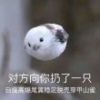 百度用户UID3946652117 黑猪肉肠炖粉条 一碗黑猪肉炖粉条 的头像