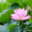 百度用户UID342065068 蓝天卫士2025 null 的头像