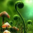 百度用户UID1969144225 马双成813110 一动不动幻想家 的头像