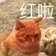 百度用户UID1652108841 挖坟者WOC 给你一发猫猫拳 的头像