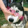 百度用户UID3375824679 uu鹿明 还行8☞ 的头像