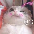 百度用户UID477056361 倒数iii 汐灵汐糕手 的头像