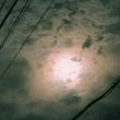 百度用户UID5037411690 null 人类多样性观察员 的头像