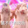 百度用户UID3536055333 青少年杀手MJ 贵族老🐭爷🎅👺 的头像