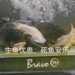 百度用户UID1569060654 EternityProPlu EternitySE 的头像