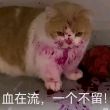 百度用户UID3991202025 H浩9 null 的头像
