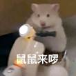百度用户UID5681762122 null 贴吧用户_G4t2b8t 的头像