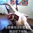 百度用户UID6654222667 起飞气飞 抚子㊑ 的头像