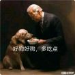 百度用户UID2319751994 yhhj5 null 的头像
