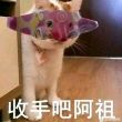 百度用户UID3917248024 null 棉花种植园主- 的头像