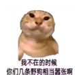 百度用户UID6575643722 null 贴吧用户_J5CSe7t134 的头像