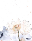 百度用户UID6515586340 nusuaihxi null 的头像