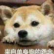 百度用户UID2134393581 一剑光寒s Lion. 的头像