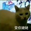 百度用户UID1701756787 小怪兽的总攻 胡萝卜没有须♤ 的头像