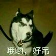 百度用户UID1064956774 整备士是垣之内 null 的头像