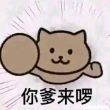 百度用户UID705078546 本人弓长不是月 德州论剑💧 的头像