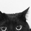 百度用户UID902177820 那座地方还有我 帅帅帅气的我🌝 的头像
