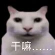 百度用户UID2097143998 null 挽枫12138 的头像