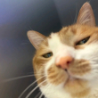 百度用户UID17596400502981 null 贴吧用户_6S5DbR7JG 的头像