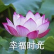百度用户UID6895370129 null 会贤d6d29 的头像