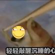 百度用户UID1351226893 爽朗的66666b 差不多得啦😅 的头像