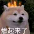 百度用户UID2456853709 浪到被人打 求你阴阳怪气😂 的头像