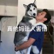 百度用户UID2823786837 sy1403428995 但愿故人归ლ 的头像