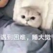 百度用户UID135138562 q121703564 贴吧用户_0aS35A7 的头像