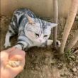 百度用户UID2302460158 hopesJK null 的头像