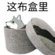 百度用户UID4278779588 握爪机器琪莉雅 布盒 的头像