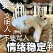 百度用户UID294216083 710258154 夜影妖瞳 的头像